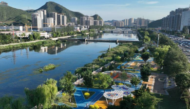 桑椹树病虫防治方法，常见问题解析，实用应对技巧