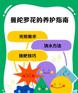 桑椹树病虫防治方法，常见问题解析，实用应对技巧