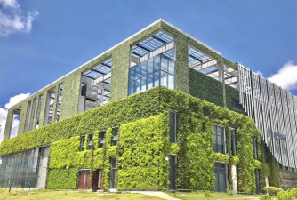 桑椹树病虫防治方法，常见问题解析，实用应对技巧