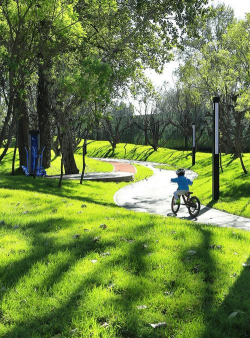 桑椹树病虫防治方法，常见问题解析，实用应对技巧