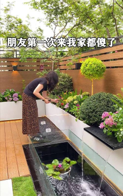 桑椹树病虫防治方法，常见问题解析，实用应对技巧