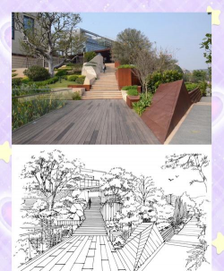 桑椹树病虫防治方法，常见问题解析，实用应对技巧