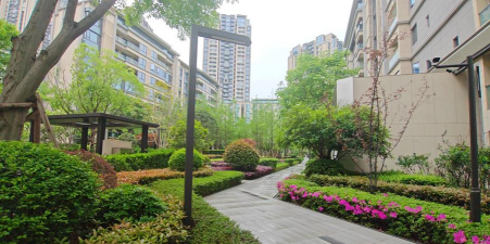 沉香树病害防治方法，识别常见病害，掌握有效应对措施