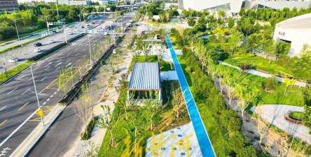 桑椹树病虫防治方法，常见问题解析，实用应对技巧