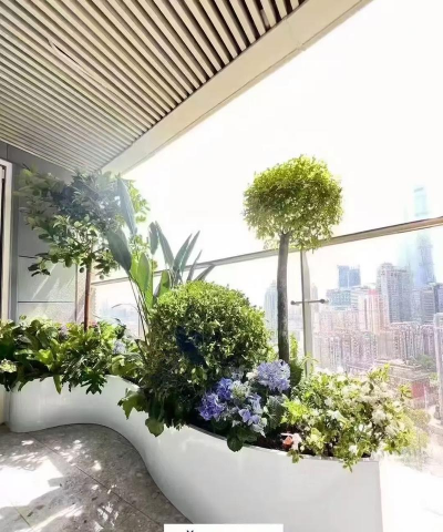 海淀家庭阳台绿化设计，空间利用技巧，植物搭配建议