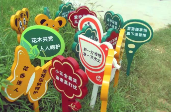 草果栽培，掌握关键技巧，实现高产稳收