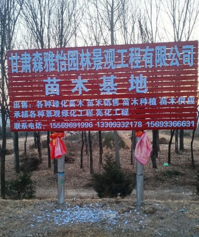 桑椹树病虫防治方法，常见问题解析，实用应对技巧