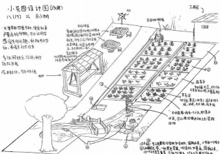 设施栽培类型,常见几种模式,适用场景分析 设施栽培类型,常见几种模式,适用场景分析