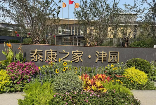 草果栽培，掌握关键技巧，实现高产稳收