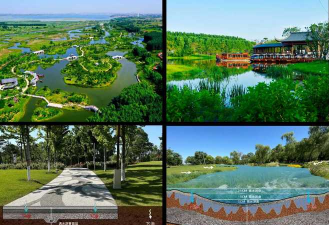 草果栽培，掌握关键技巧，实现高产稳收