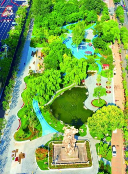 桑椹树病虫防治方法，常见问题解析，实用应对技巧