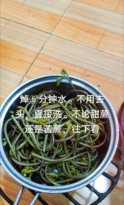桑椹树病虫防治方法，常见问题解析，实用应对技巧