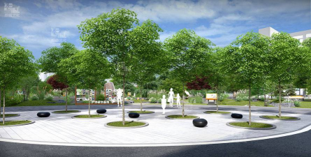 桑椹树病虫防治方法，常见问题解析，实用应对技巧