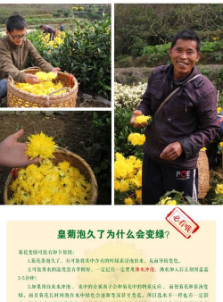 桑椹树病虫防治方法，常见问题解析，实用应对技巧