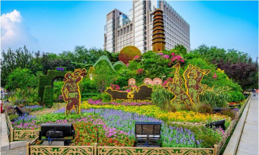 桑椹树病虫防治方法，常见问题解析，实用应对技巧