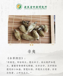 桑椹树病虫防治方法，常见问题解析，实用应对技巧