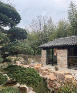 桑椹树病虫防治方法，常见问题解析，实用应对技巧