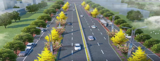 桑椹树病虫防治方法，常见问题解析，实用应对技巧