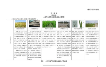 桑椹树病虫防治方法，常见问题解析，实用应对技巧