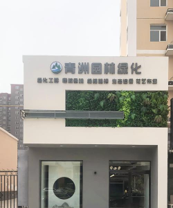 桑椹树病虫防治方法，常见问题解析，实用应对技巧