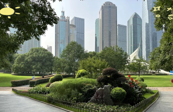 桑椹树病虫防治方法，常见问题解析，实用应对技巧