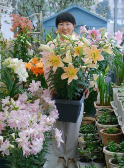 家庭养花用生根粉