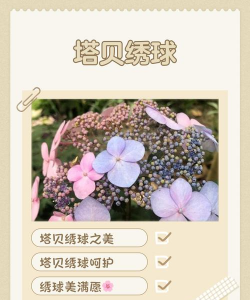 桑椹树病虫防治方法，常见问题解析，实用应对技巧