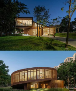 桑椹树病虫防治方法，常见问题解析，实用应对技巧