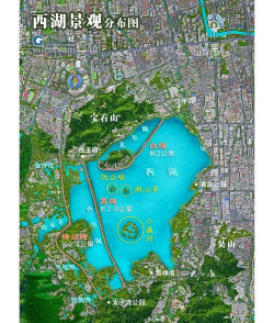 桑椹树病虫防治方法，常见问题解析，实用应对技巧