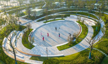 桑椹树病虫防治方法，常见问题解析，实用应对技巧