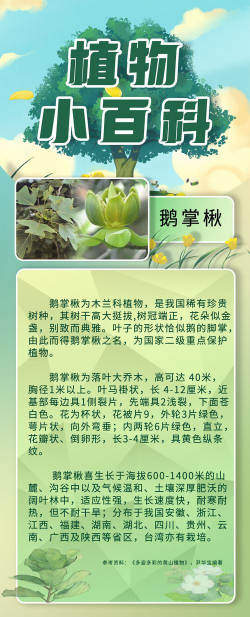 楸树病害防治措施，常见问题解析，实用应对方法