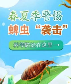 草皮虫怎么预防