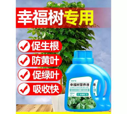 家庭养花用生根粉