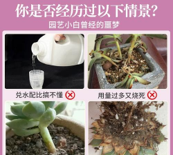 家庭养花用生根粉