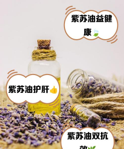 树叶油怎么处理