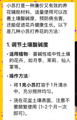 家庭养花用生根粉