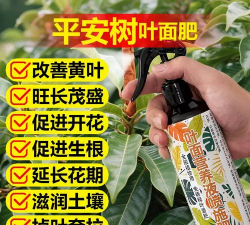 家庭养花用生根粉