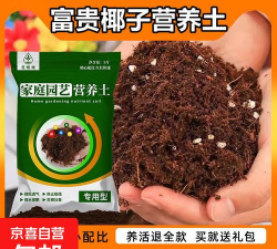 家庭养花用生根粉