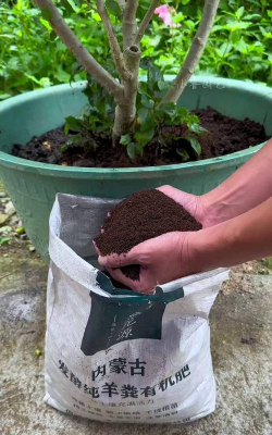 家庭养花用生根粉