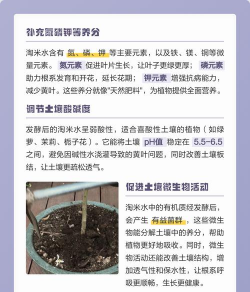 家庭养花用生根粉