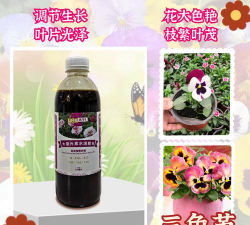 家庭养花用生根粉