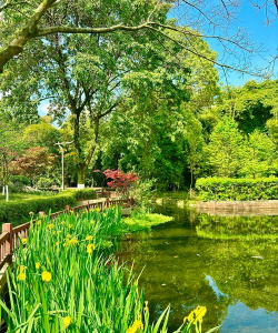 望江哪里适合养花草