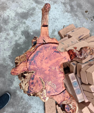 楸树根能做什么