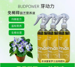 家庭养花用生根粉