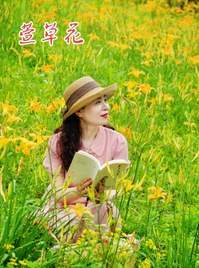 萱草可以搭配什么花