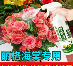 家庭养花用生根粉