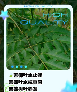 什么树不怕水泡淹