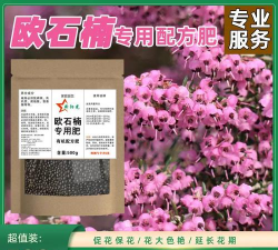 家庭养花用生根粉