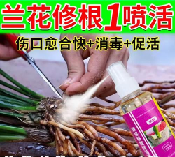 家庭养花用生根粉