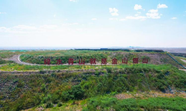 矸石山绿化种什么